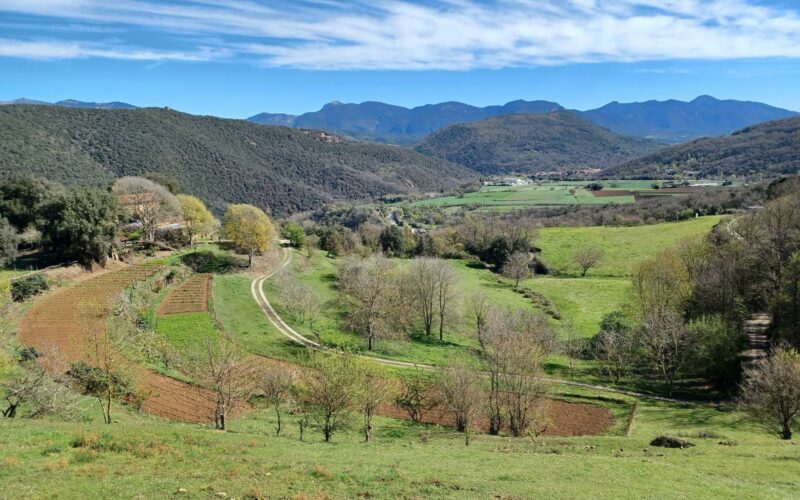 103817734Master 103817734Master