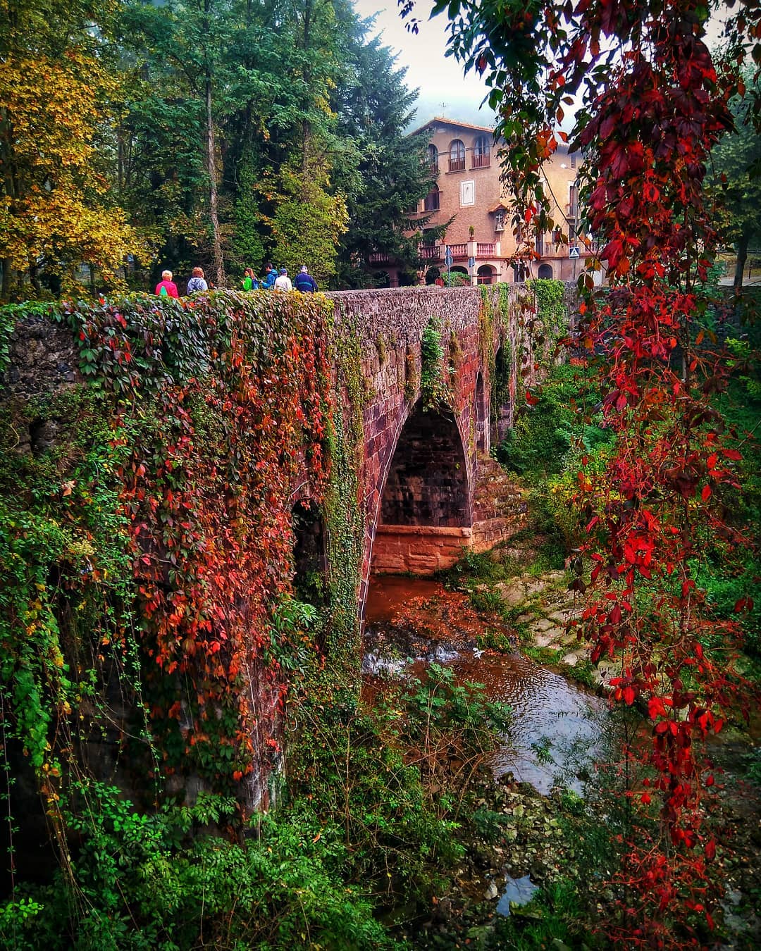 pont de sant roc olot tardor