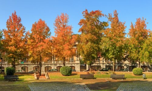 tardor a olot llocs