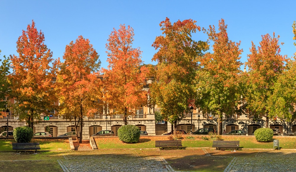 tardor a olot llocs