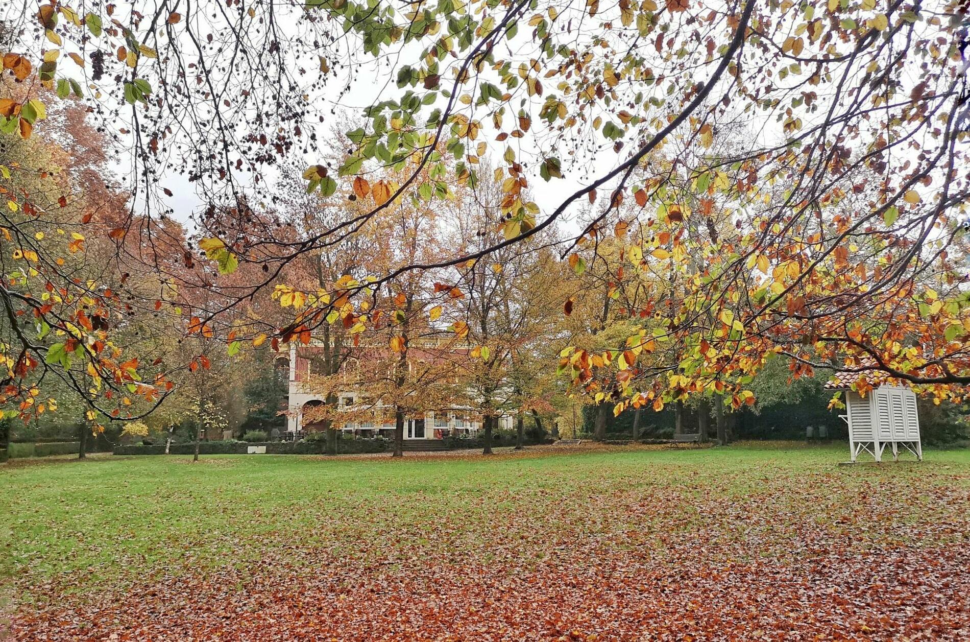 el parc nou d'Olot