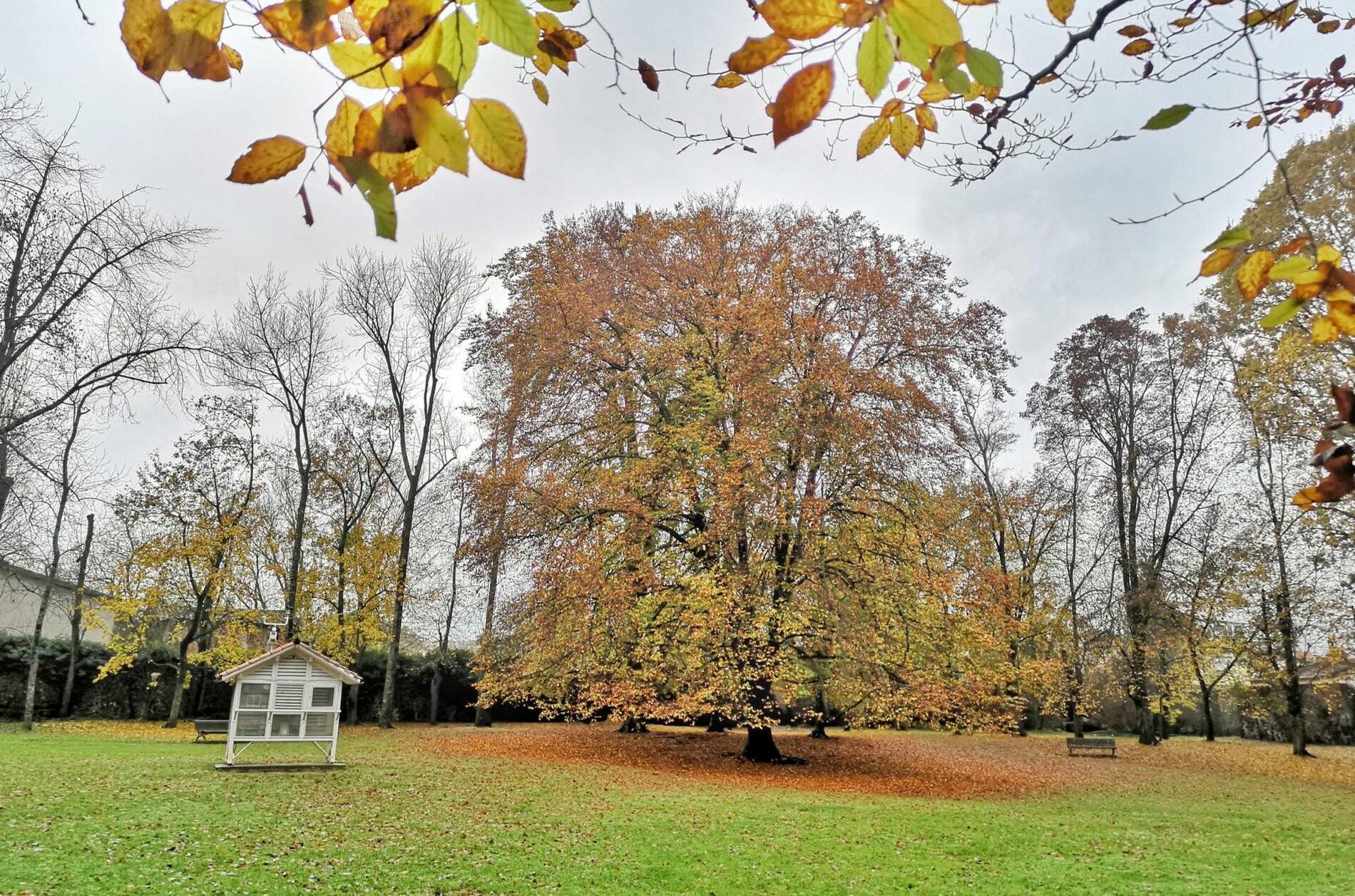 el parc nou d'Olot