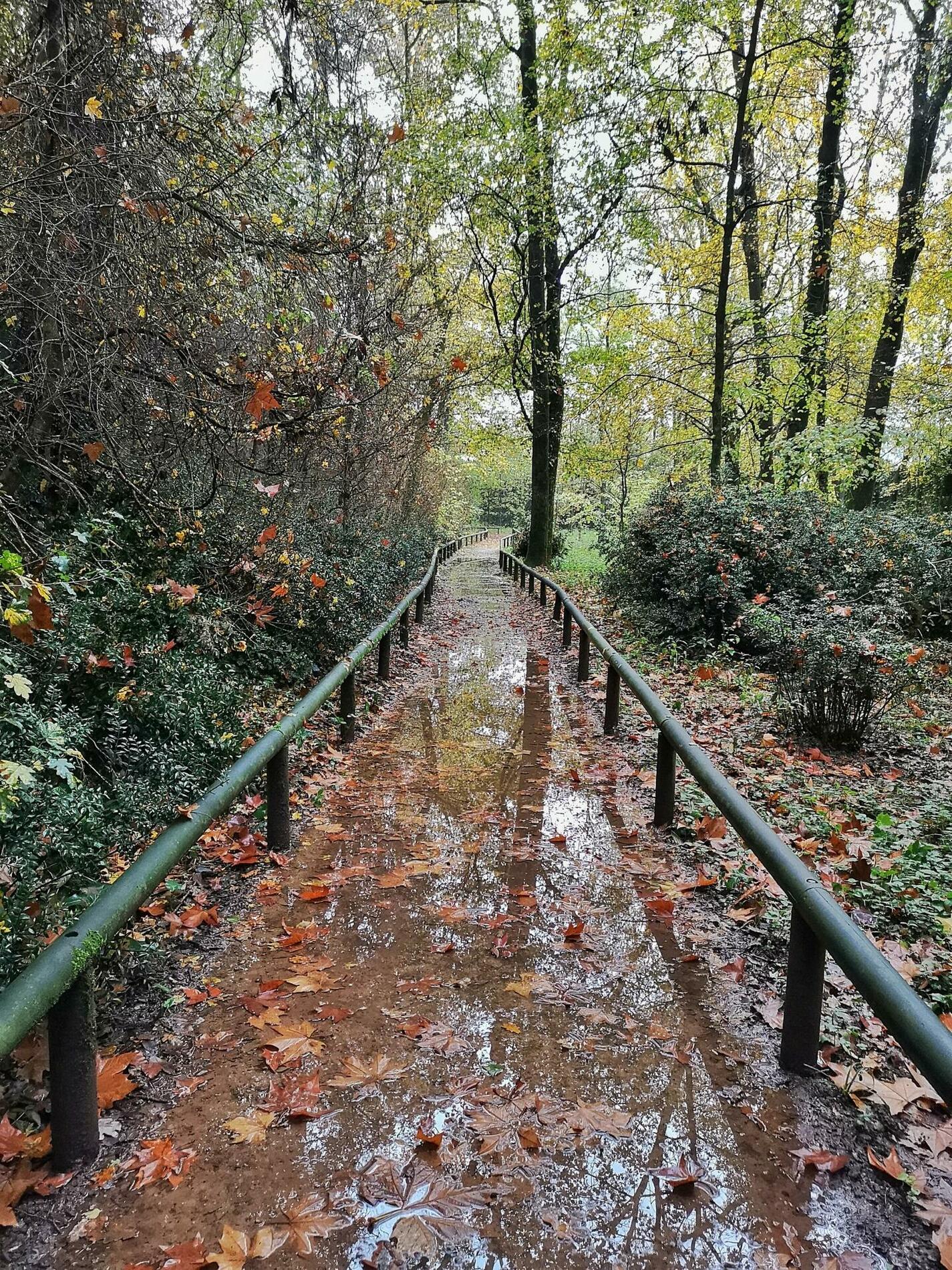 el parc nou d'Olot