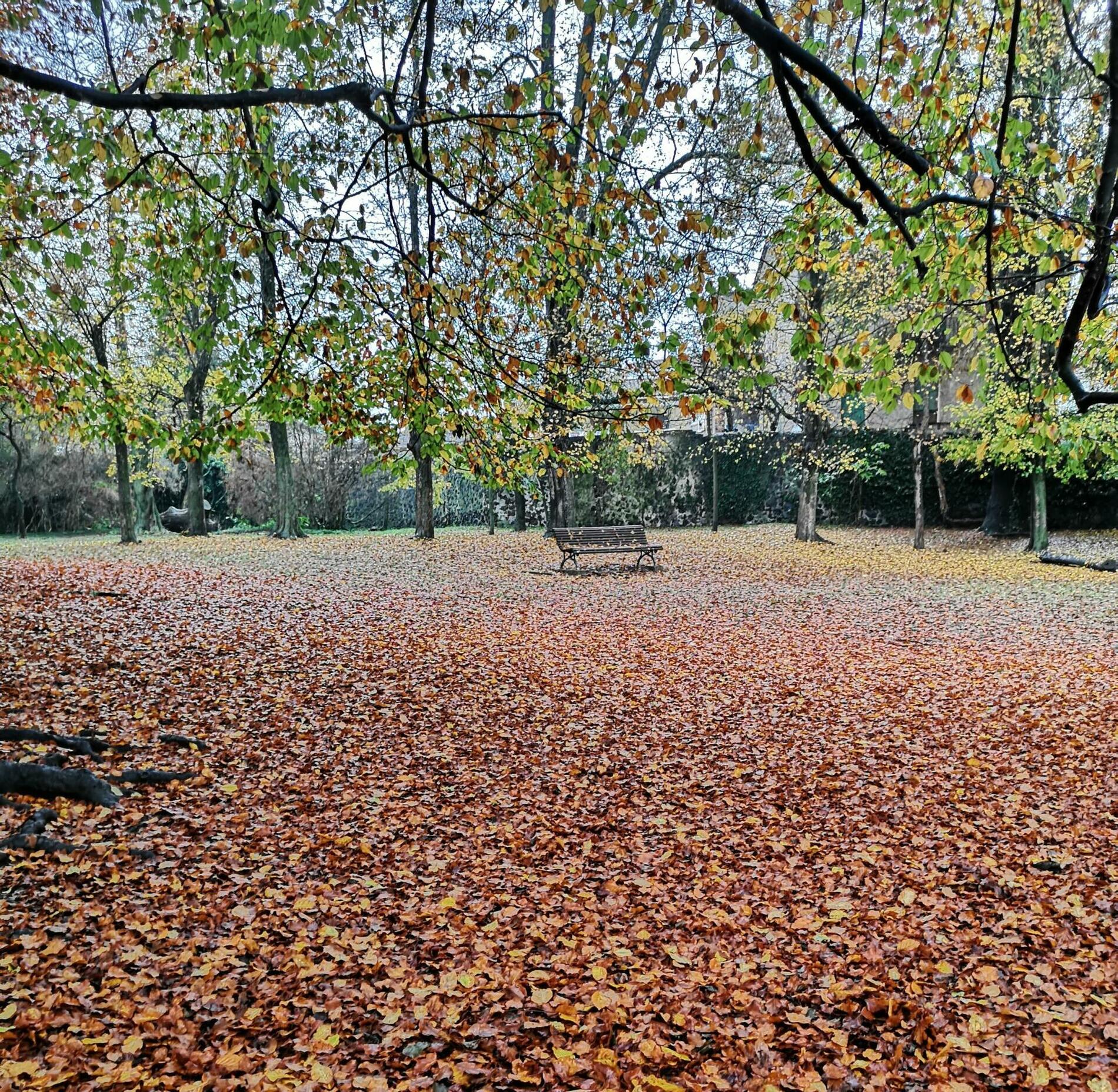 el parc nou d'Olot