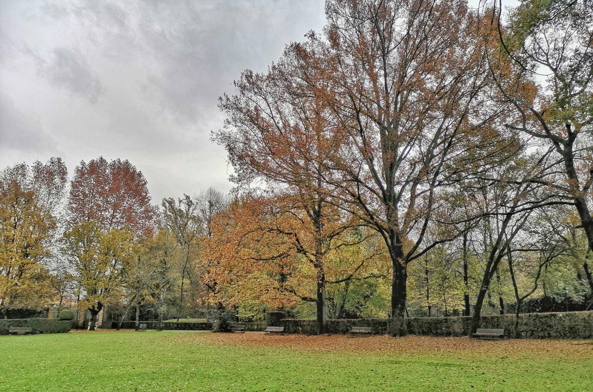 el parc nou d'Olot