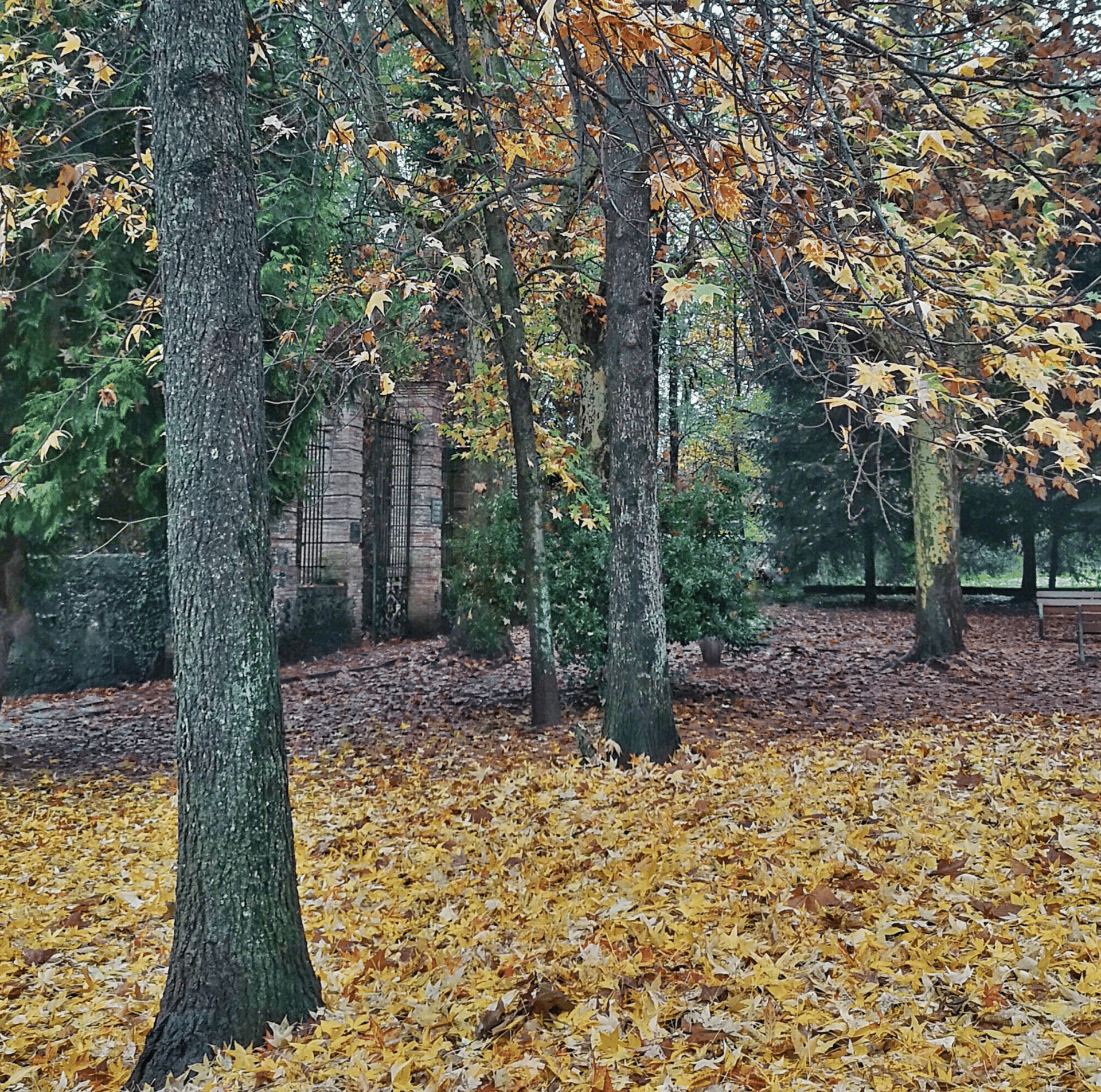 el parc nou d'Olot