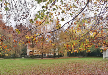 el parc nou d'Olot