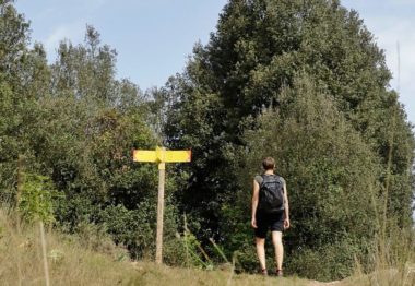 ruta volcans d'olot montolivet montsacopa