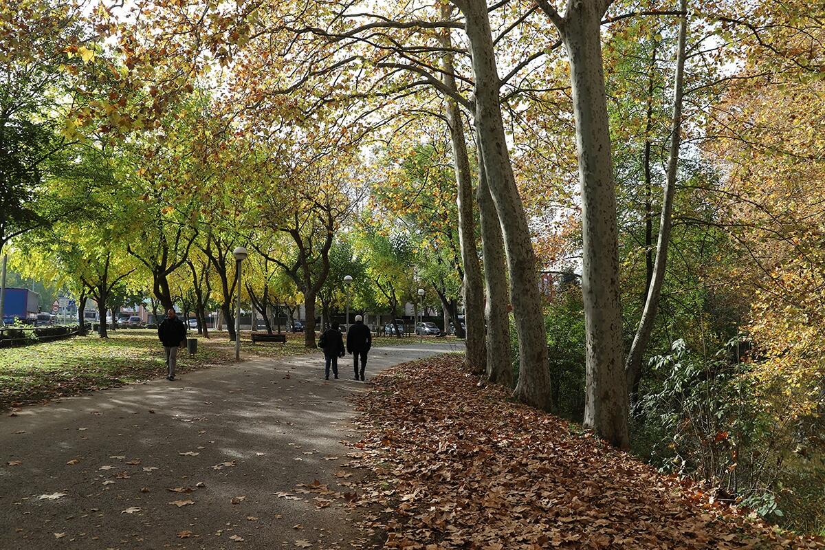 L'Eixample Malagrida d'Olot