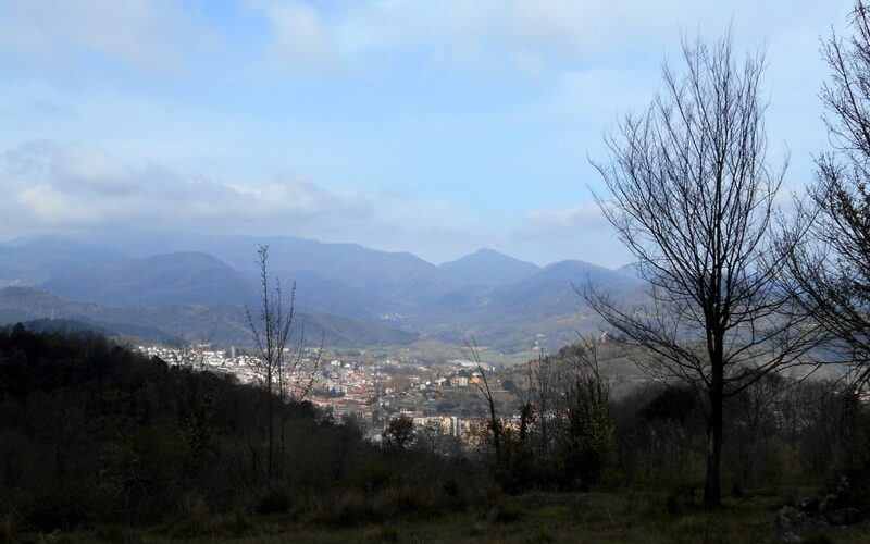 22450481Master 22450481Master