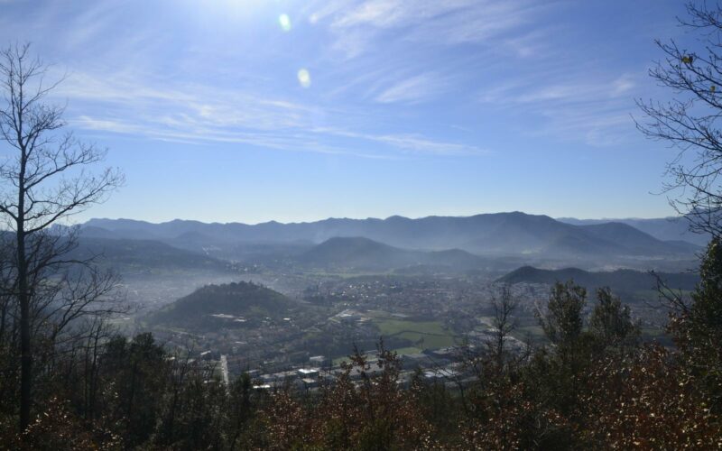 31102150Master 31102150Master