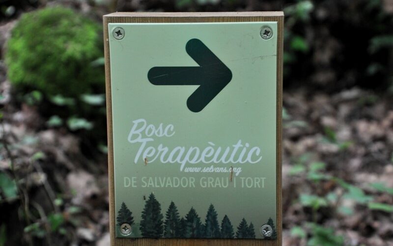 81203251Master 81203251Master