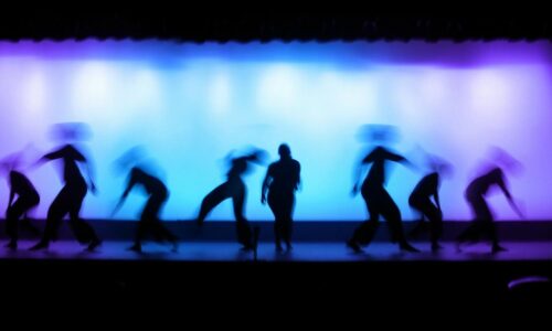 activitats cultural olot.