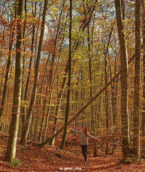 NATURA VIURE A OLOT POL JOVA