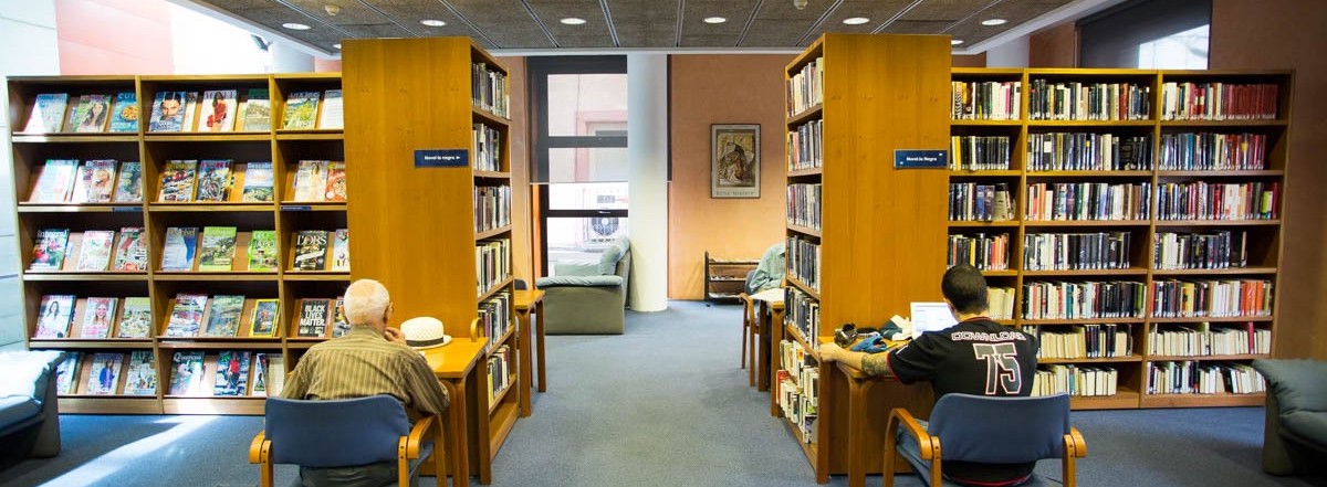 biblioteca olot