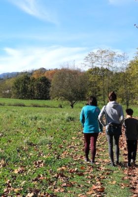 excursions olot i passejades