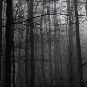 fageda-andreas-300x300-1