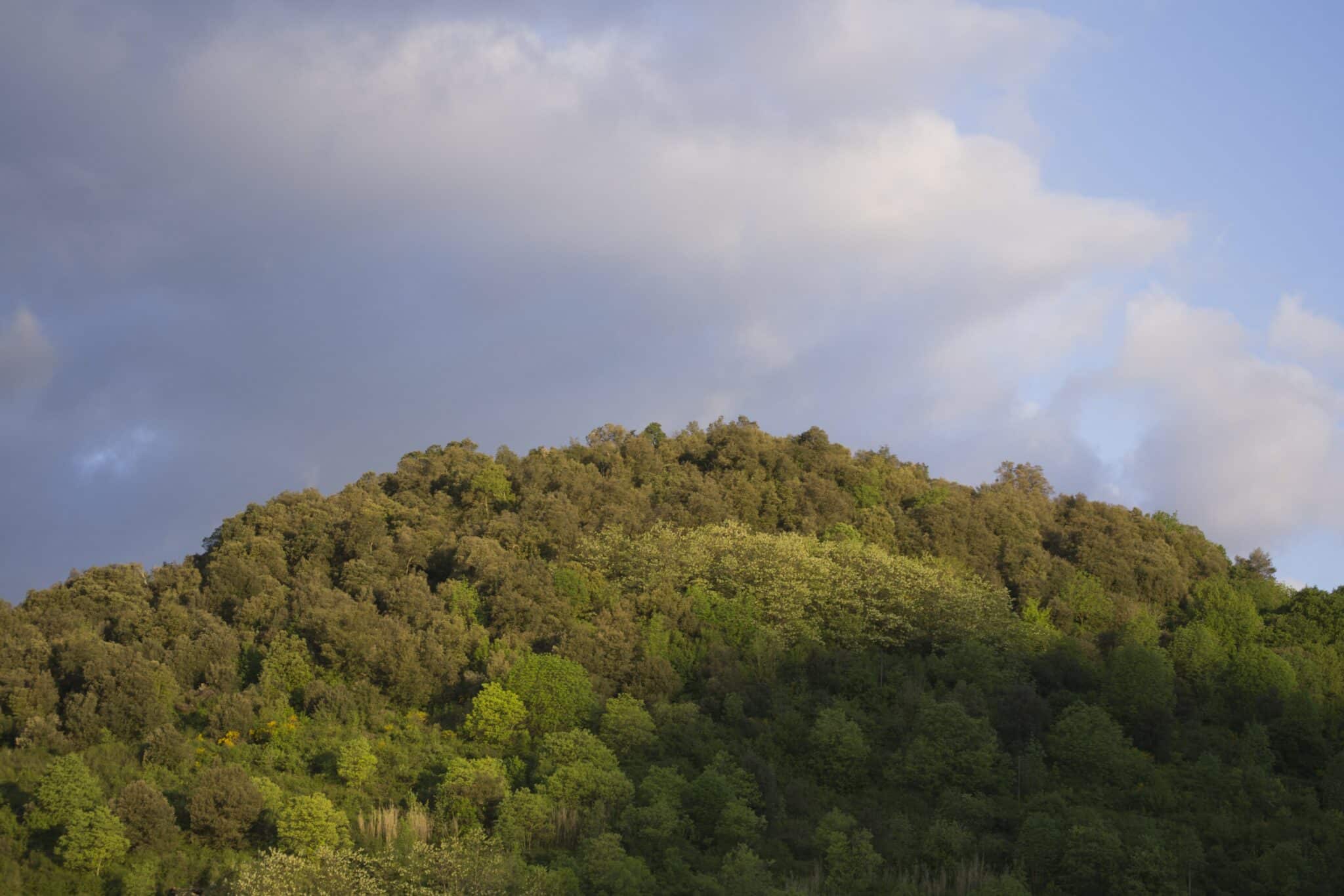 volcan de la garrinada