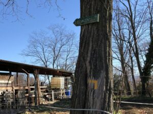 hostal del sol descobreixolot 6