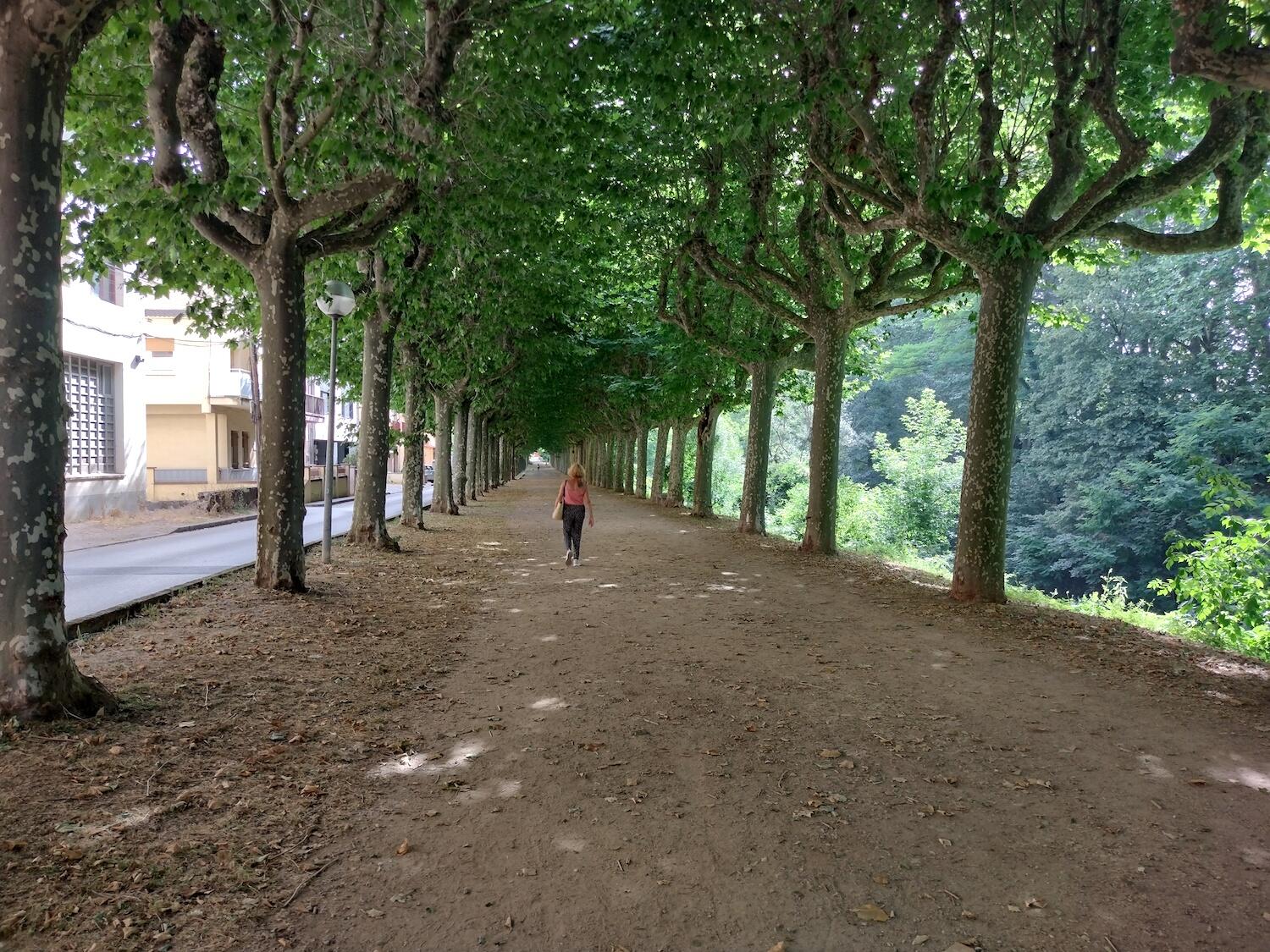 passeig sant roc olot estiu